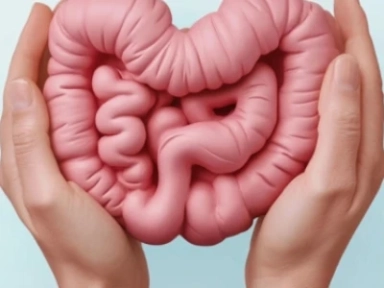 Intestino com foco nos lactobacilos vivos