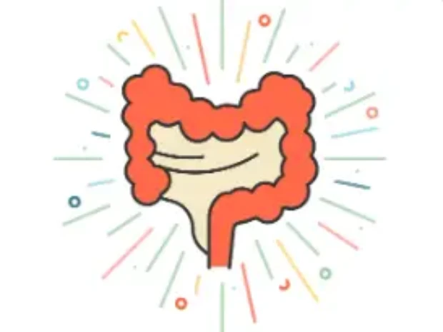 Ilustração de um trato digestivo ainda não totalmente desenvolvido