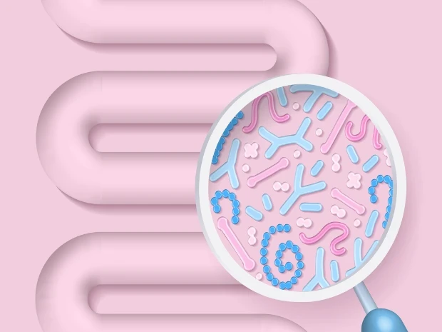 Ilustração de um trato digestivo e bactérias saudáveis atuando no intestino