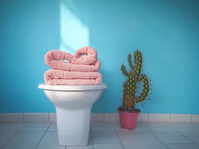 Toalhas cor-de-rosa dobradas de forma criativa em uma tigela com um cacto ao fundo.
