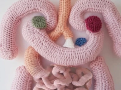 Sistema digestivo humano em crochê com vários segmentos coloridos.