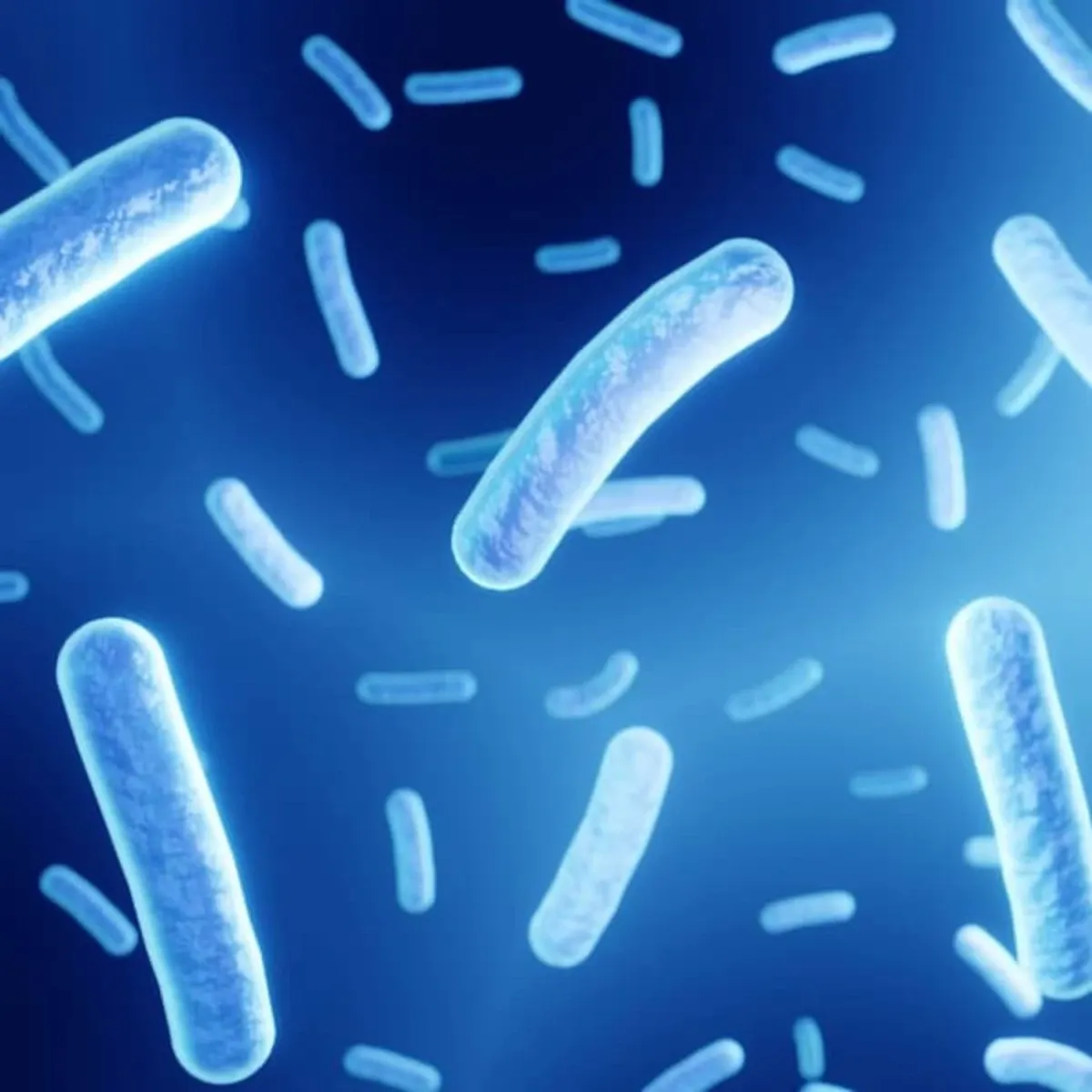 Células bacterianas azuis e brancas flutuando em um fundo azul escuro.