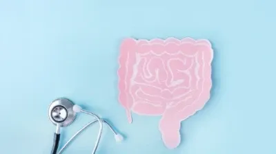 ilustração do intestino