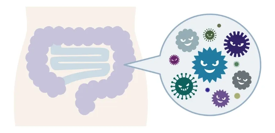 imagem de uma microbiota afetada por bactérias do mal