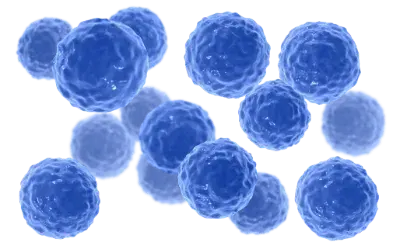 Ilustração do Bacillus clausii, que ajuda a equilibrar a microbiota intestinal
