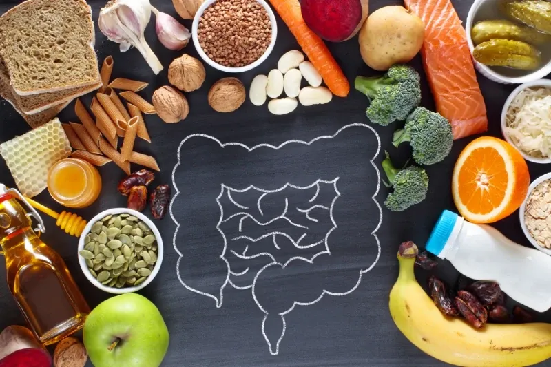 Vários alimentos saudáveis cercam um desenho a giz de um intestino em um quadro negro.
