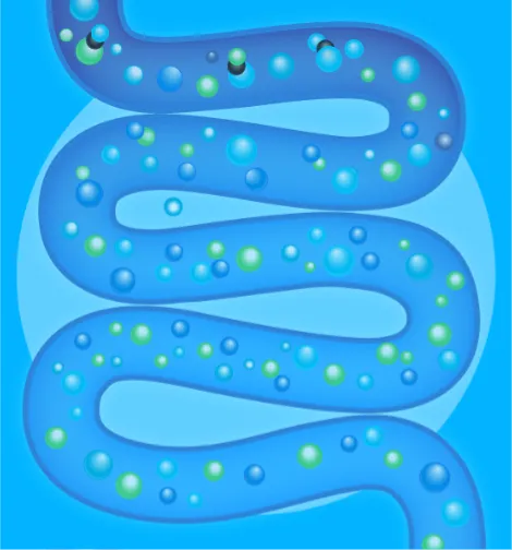 Ilustração de probióticos no intestino, formando colônias do bem para restaurar a flora intestinal