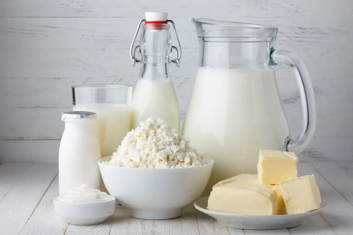 Leite e derivados são produtos que podem trazer prejuízos a quem tem intolerância à lactose