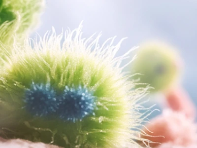 Bactérias microscópicas coloridas com projeções semelhantes a cabelos em um fundo desfocado.