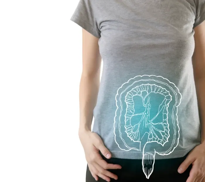 ilustração do intestino em uma pessoa