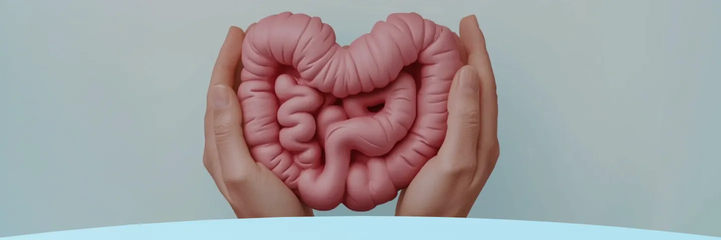 Mãos segurando um modelo de intestino em um fundo claro.