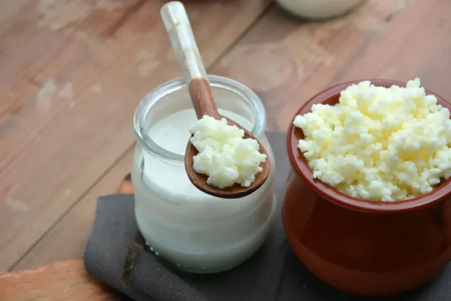 Uma colher de madeira com grãos de kefir repousa sobre um frasco de vidro com a bebida e um pote cerâmico ao lado.