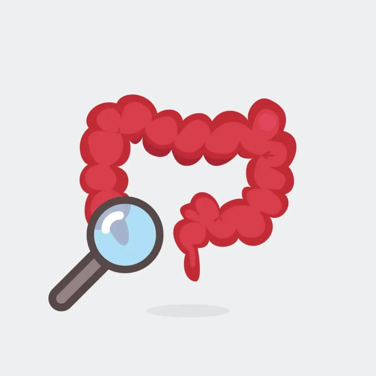 Ilustração de intestinos.