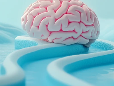 Um modelo de cérbro fica.