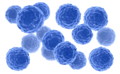 Ilustração do Bacillus clausii, que ajuda a equilibrar a microbiota intestinal