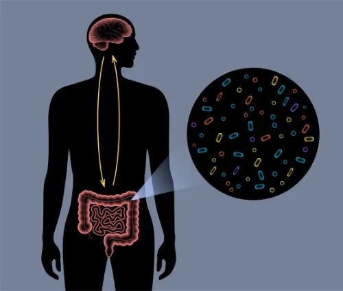 ilustração do intestino com zoom