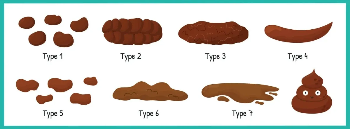 Qual a diferena entre diarreia e fezes moles? Entenda aqui Qual a diferena entre diarreia e fezes moles? Entenda aqui