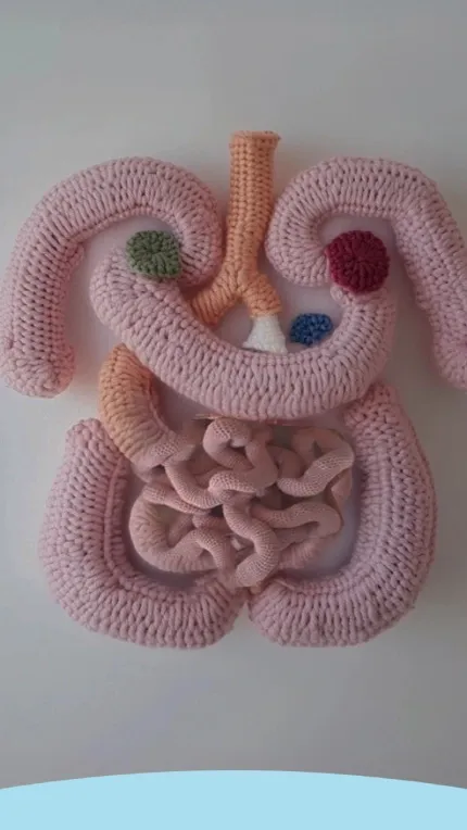 Modelo em crochê de intestinos humanos em um fundo liso.
