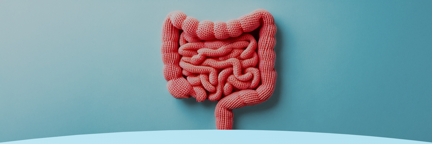 Modelo de intestino de crochê em um fundo azul.