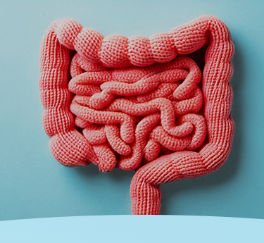 Modelo de intestino de crochê em um fundo azul.