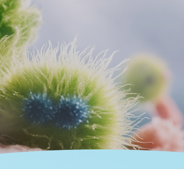 Close-up de organismos microscópicos fofos e coloridos.