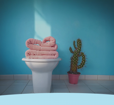 Toalhas cor-de-rosa enroladas em um assento de vaso sanitário ao lado de um cacto em um quarto com paredes azuis.