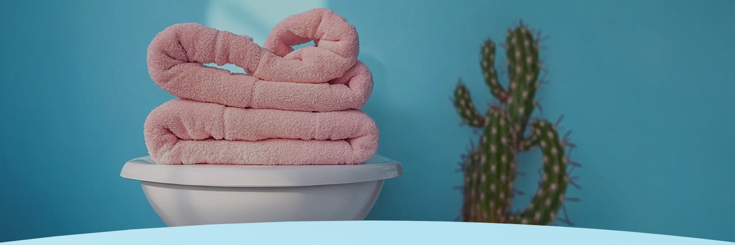 Toalhas cor-de-rosa em forma de coração em uma tigela branca ao lado de um cacto em um fundo azul.